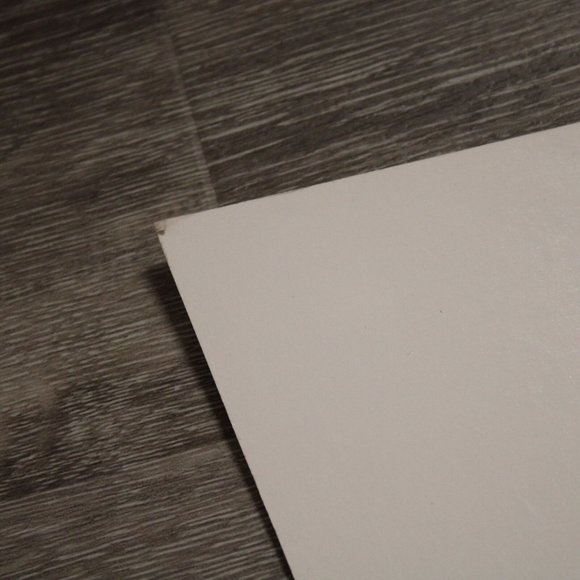 2007 Nicky Hayden Honda Racing No1 69 RC212V Fan Pit Poster Board MotoGP - Picture 3 of 3